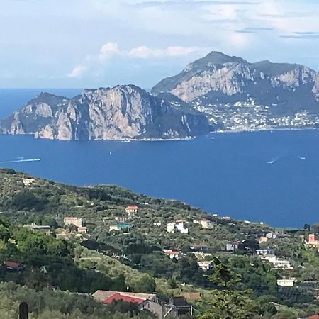 Resort Ferrara Villa Multa Quies Massa Lubrense Kültér fotó