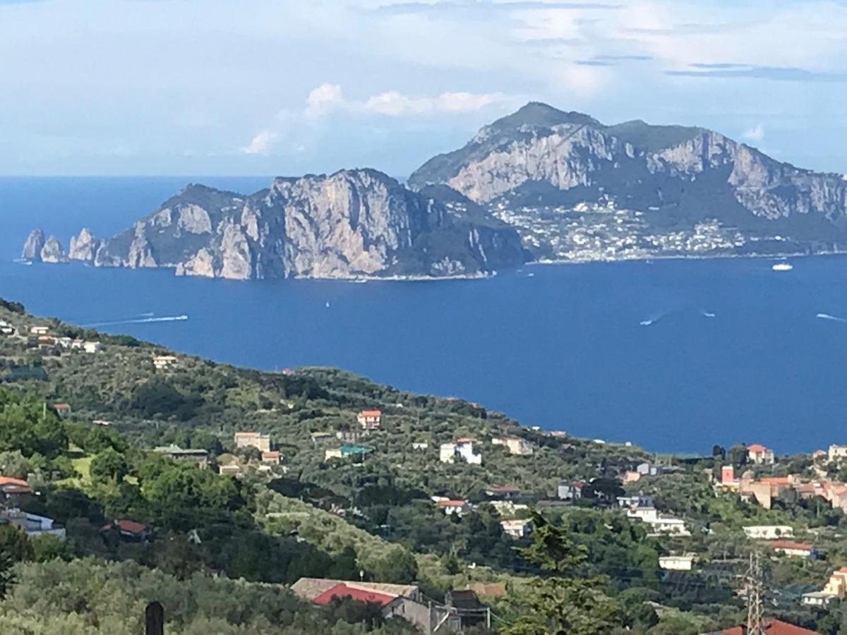 Resort Ferrara Villa Multa Quies Massa Lubrense Kültér fotó